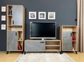 ОСКАР TRIO Гостиная (дуб золотой/каспий темный) в Троицке - troick.ok-mebel.com | фото 2