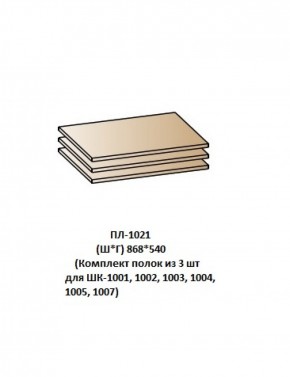 ПЛ-1021 (Комплект полок из 3 шт для ШК-1001, 1002, 1003, 1004, 1005, 1007) в Троицке - troick.ok-mebel.com | фото