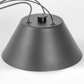 Подвесная люстра Lussole Hopkins LSP-7408 в Троицке - troick.ok-mebel.com | фото 7