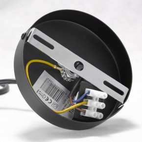 Подвесная люстра Lussole Kenner GRLSP-8271 в Троицке - troick.ok-mebel.com | фото 7