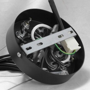 Подвесная люстра Lussole Seneca GRLSP-8177 в Троицке - troick.ok-mebel.com | фото 10