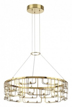 Подвесная люстра Odeon Light ZAHA 7060/44L в Троицке - troick.ok-mebel.com | фото 2
