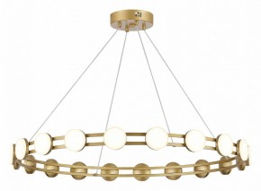 Подвесная люстра ST-Luce MONRO SL6610.203.20 в Троицке - troick.ok-mebel.com | фото 2