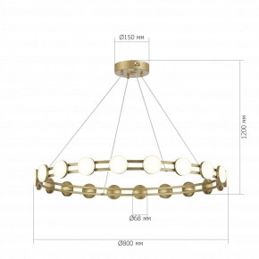 Подвесная люстра ST-Luce MONRO SL6610.203.20 в Троицке - troick.ok-mebel.com | фото 5