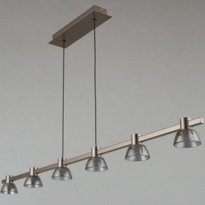 Подвесной светильник Aployt Rezeda APL.788.03.06 в Троицке - troick.ok-mebel.com | фото 12