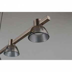 Подвесной светильник Aployt Rezeda APL.788.03.06 в Троицке - troick.ok-mebel.com | фото 4