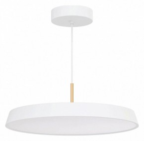 Подвесной светильник Arlight ELEGANT 033925(1) в Троицке - troick.ok-mebel.com | фото 2
