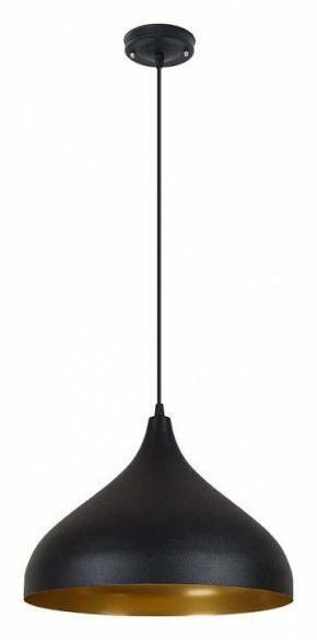 Подвесной светильник Arte Lamp Carmel A7076SP-1BK в Троицке - troick.ok-mebel.com | фото 2
