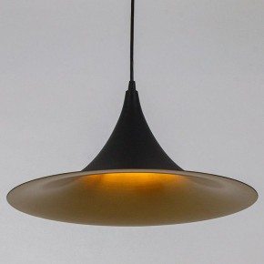 Подвесной светильник Arte Lamp Carmel A7080SP-1BK в Троицке - troick.ok-mebel.com | фото