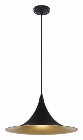 Подвесной светильник Arte Lamp Carmel A7080SP-1BK в Троицке - troick.ok-mebel.com | фото 2