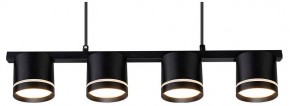 Подвесной светильник Arte Lamp Legacy A8024SP-4BK в Троицке - troick.ok-mebel.com | фото