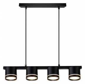 Подвесной светильник Arte Lamp Legacy A8024SP-4BK в Троицке - troick.ok-mebel.com | фото 2
