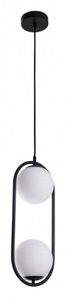 Подвесной светильник Arte Lamp Matisse A7745SP-2BK в Троицке - troick.ok-mebel.com | фото 2