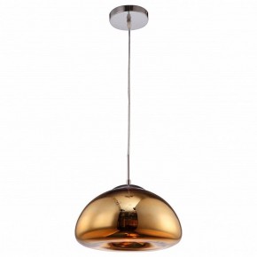 Подвесной светильник Arte Lamp Swift A8041SP-1GO в Троицке - troick.ok-mebel.com | фото 2