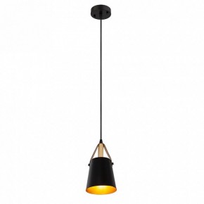 Подвесной светильник Arte Lamp Thomas A7032SP-1BK в Троицке - troick.ok-mebel.com | фото 3