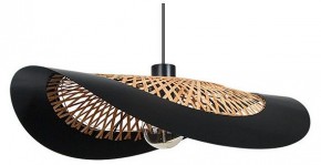 Подвесной светильник Arte Lamp Woodstock A7059SP-1BK в Троицке - troick.ok-mebel.com | фото
