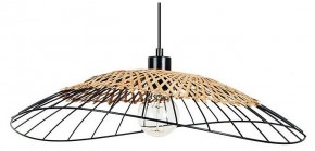 Подвесной светильник Arte Lamp Woodstock A7061SP-1BK в Троицке - troick.ok-mebel.com | фото