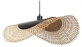 Подвесной светильник Arte Lamp Woodstock A7063SP-1BK в Троицке - troick.ok-mebel.com | фото