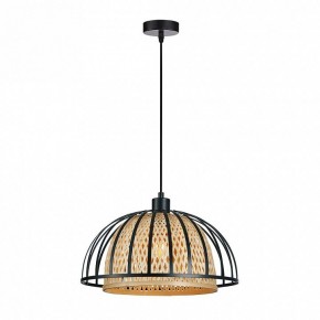 Подвесной светильник Arte Lamp Woodstock A7071SP-1BK в Троицке - troick.ok-mebel.com | фото