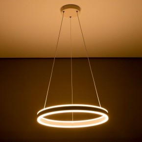Подвесной светильник Citilux Дуэт CL719500 в Троицке - troick.ok-mebel.com | фото 11