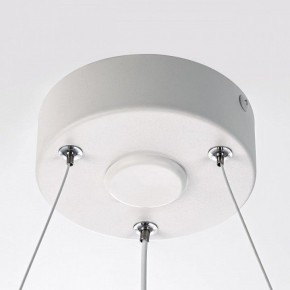 Подвесной светильник Citilux Trio CL215B050 в Троицке - troick.ok-mebel.com | фото 10