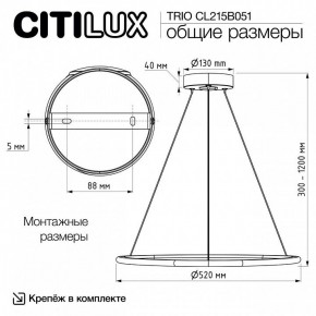 Подвесной светильник Citilux Trio CL215B051 в Троицке - troick.ok-mebel.com | фото 8