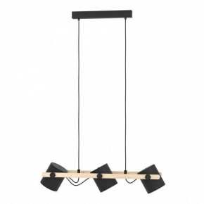 Подвесной светильник Eglo HORNWOOD 43517 в Троицке - troick.ok-mebel.com | фото 2