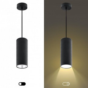 Подвесной светильник Эра  PL12 GX53 BK/SL в Троицке - troick.ok-mebel.com | фото 5