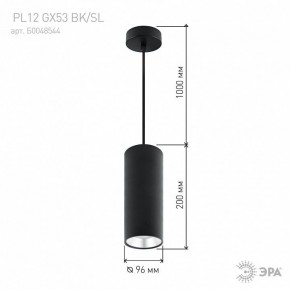 Подвесной светильник Эра  PL12 GX53 BK/SL в Троицке - troick.ok-mebel.com | фото 8