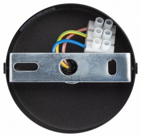 Подвесной светильник Эра  PL12 GX53 BK/SL в Троицке - troick.ok-mebel.com | фото 9