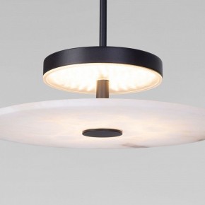 Подвесной светильник Eurosvet Thasos 40342 LED черный в Троицке - troick.ok-mebel.com | фото 7