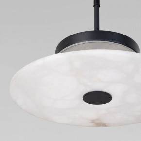 Подвесной светильник Eurosvet Thasos 40342 LED черный в Троицке - troick.ok-mebel.com | фото 8