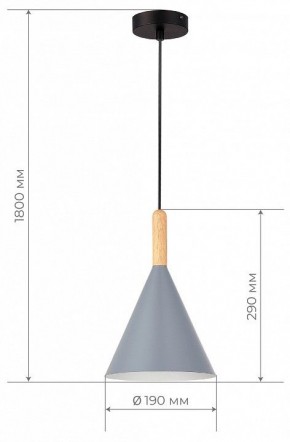 Подвесной светильник EVOLUCE Arket SLE1255-423-01 в Троицке - troick.ok-mebel.com | фото 6