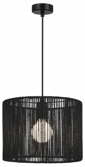 Подвесной светильник EVOLUCE ETTAN SLE6024-403-01 в Троицке - troick.ok-mebel.com | фото 2