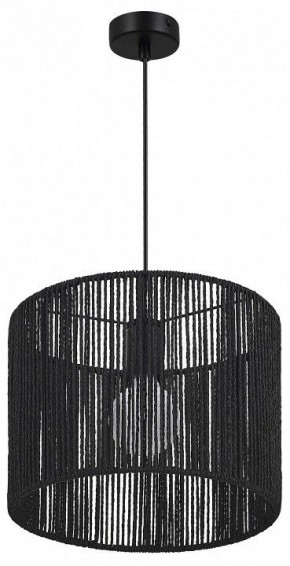 Подвесной светильник EVOLUCE ETTAN SLE6024-403-01 в Троицке - troick.ok-mebel.com | фото 3