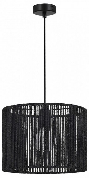Подвесной светильник EVOLUCE ETTAN SLE6024-403-01 в Троицке - troick.ok-mebel.com | фото 4