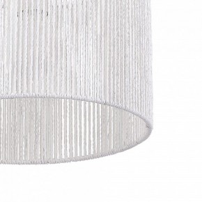 Подвесной светильник EVOLUCE ETTAN SLE6024-503-01 в Троицке - troick.ok-mebel.com | фото 8