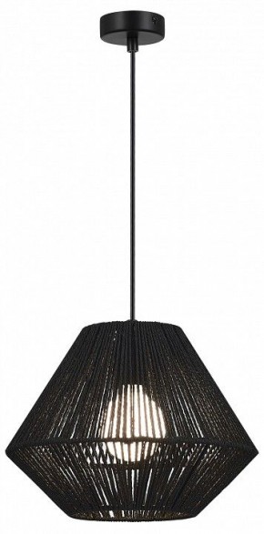 Подвесной светильник EVOLUCE ETTAN SLE6025-403-01 в Троицке - troick.ok-mebel.com | фото 2