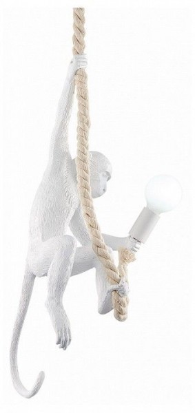 Подвесной светильник EVOLUCE Tenato SLE115103-01 в Троицке - troick.ok-mebel.com | фото 2