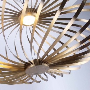 Подвесной светильник Favourite Spring 4680-1P в Троицке - troick.ok-mebel.com | фото 5
