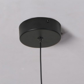 Подвесной светильник Favourite Wilet 4656-1P в Троицке - troick.ok-mebel.com | фото 10