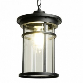 Подвесной светильник Feron PL765 51819 в Троицке - troick.ok-mebel.com | фото 3