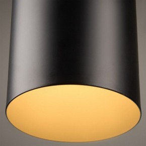 Подвесной светильник Freya Achillea FR5400PL-01B в Троицке - troick.ok-mebel.com | фото 9