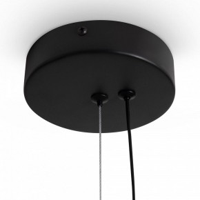 Подвесной светильник Freya Clod FR6186PL-L7SM1 в Троицке - troick.ok-mebel.com | фото 5