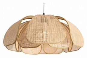 Подвесной светильник Freya Cocoon FR5529PL-01B в Троицке - troick.ok-mebel.com | фото