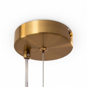 Подвесной светильник Freya Evidence FR5372PL-05BS в Троицке - troick.ok-mebel.com | фото 7