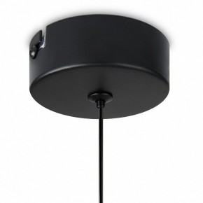 Подвесной светильник Freya Idol FR6134PL-L4SM в Троицке - troick.ok-mebel.com | фото 8
