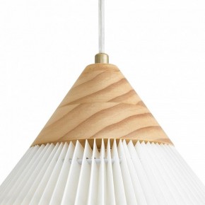Подвесной светильник Freya Kinsley FR5533PL-01BS в Троицке - troick.ok-mebel.com | фото 8