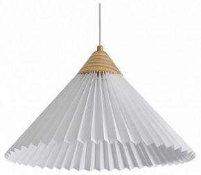 Подвесной светильник Freya Kinsley FR5533PL-01BS1 в Троицке - troick.ok-mebel.com | фото 2