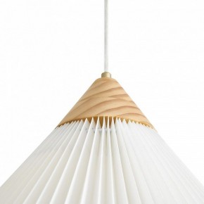 Подвесной светильник Freya Kinsley FR5533PL-01BS1 в Троицке - troick.ok-mebel.com | фото 8